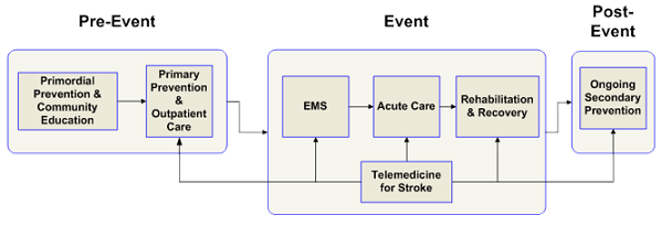 Components of Stroke System of Care