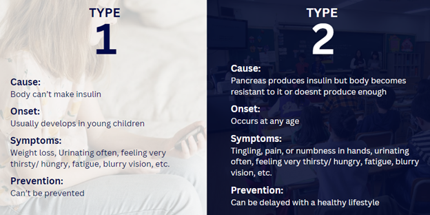 Type 1 & Type 2 Diabetes Comparison