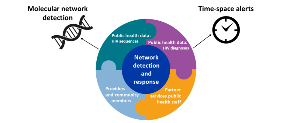 NDR consists of molecular network detection, time-space alerts, alerts from providers, community members, and partner services staff.